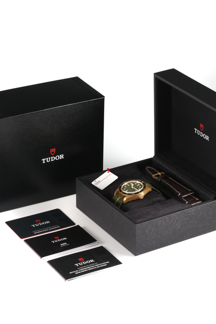 Tudor Black Bay 58 M79018V-0001 Image 5